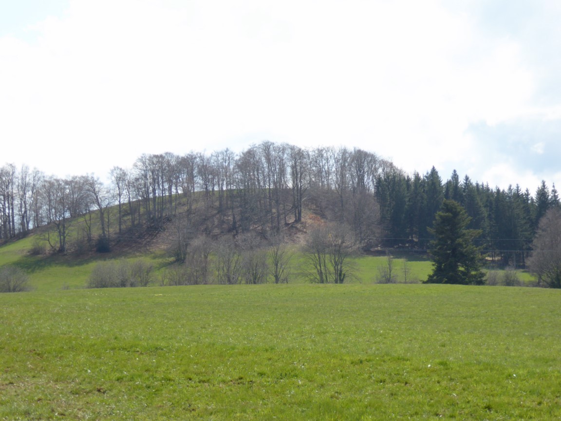 Mont Pelé droit en face