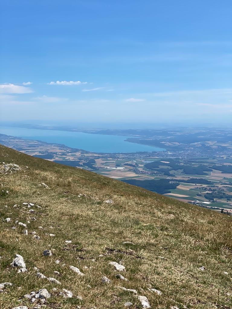 Le Lac de Neuchâtel